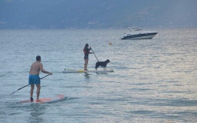 Stand Up Paddle a 4 zampe