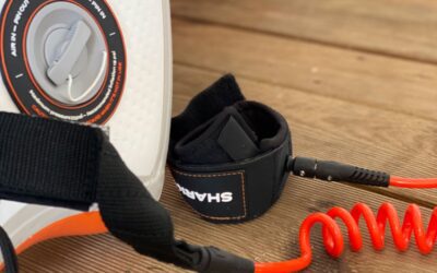 Consigli sulla scelta del Leash